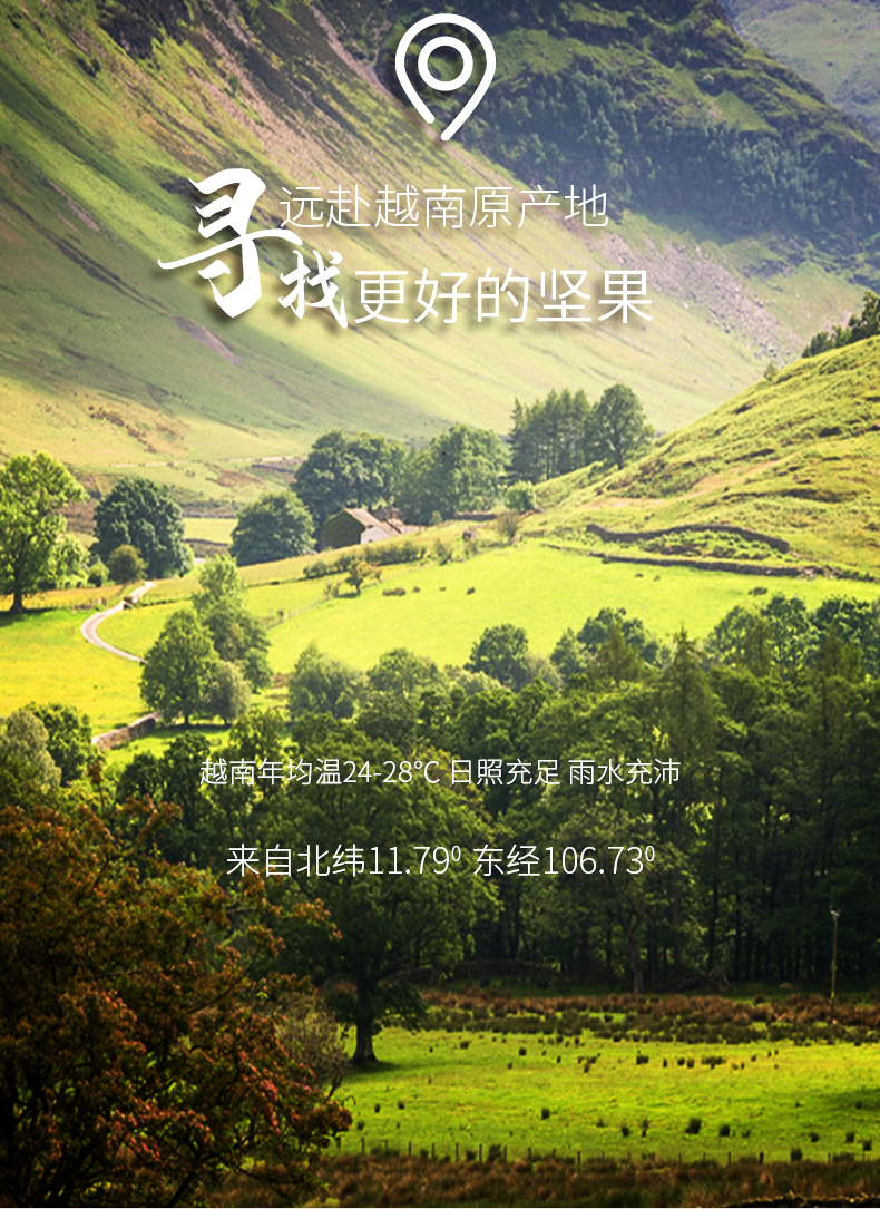 坚果手机销量,坚果排名十大坚果排行
