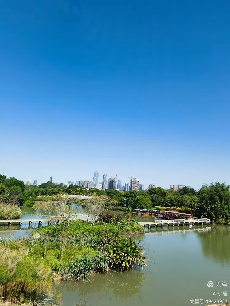 广州海珠湿地公园,广州海珠湿地公园详细介绍