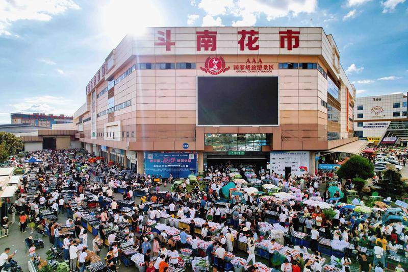 昆明花卉市场,昆明鲜花批发市场