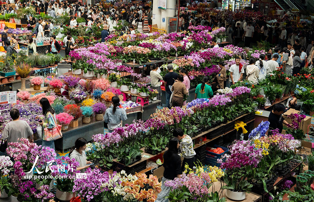 昆明花卉市场,昆明鲜花批发市场