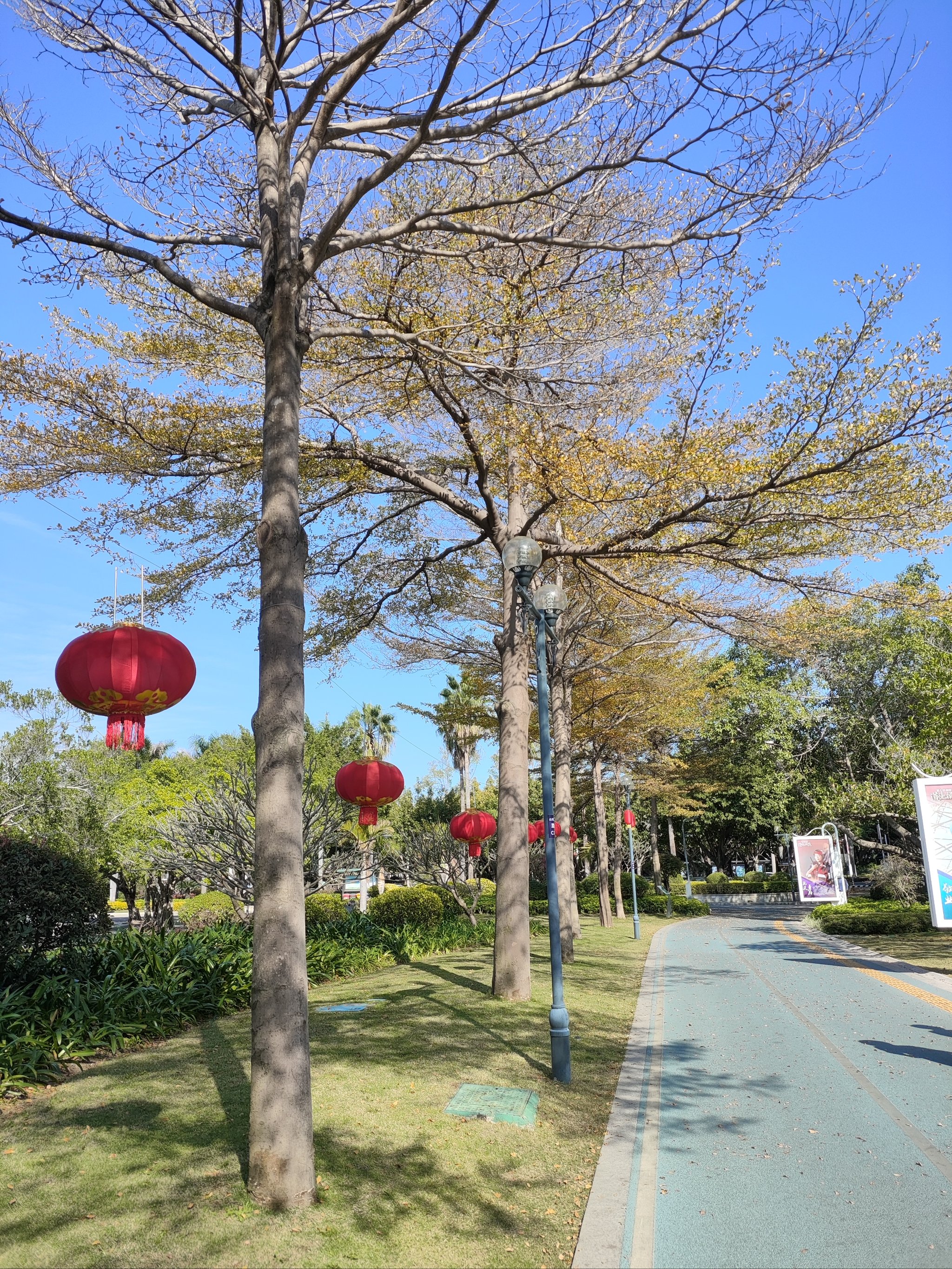 白鹭洲公园,白鹭洲公园厦门