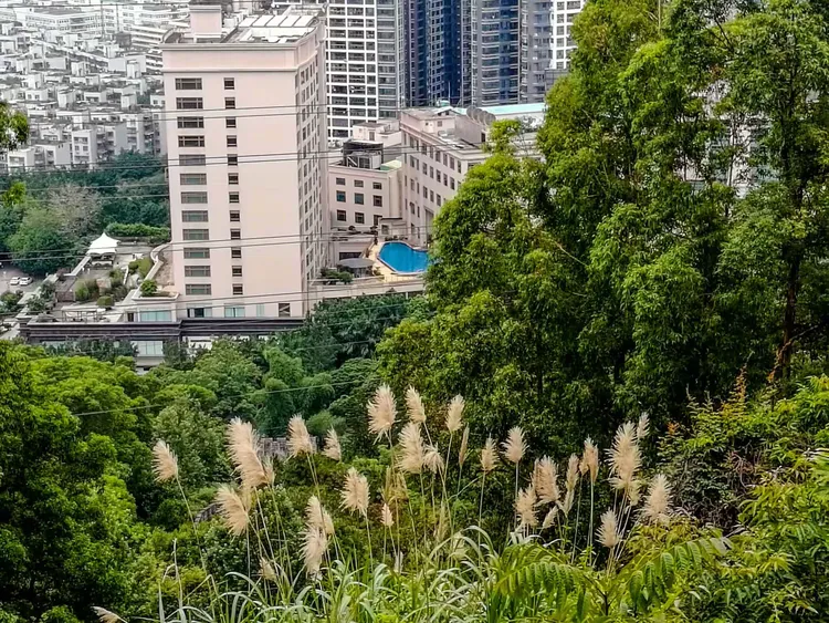 龙岗求水山公园,求水山公园最新图片
