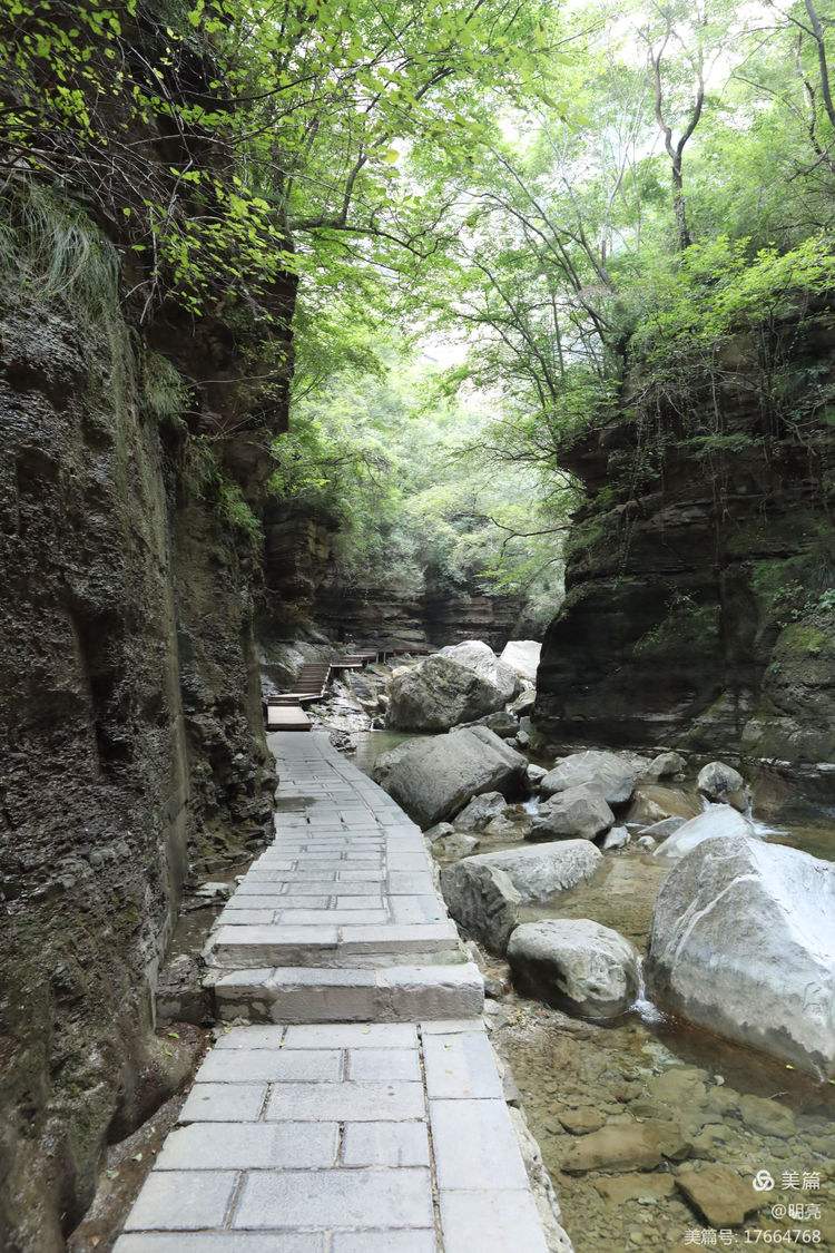 云台山,云台山海拔