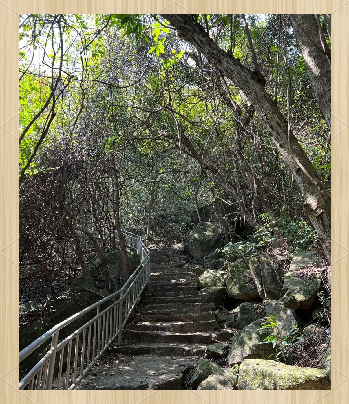 龙岗园山风景区,龙岗园山风景区好玩吗