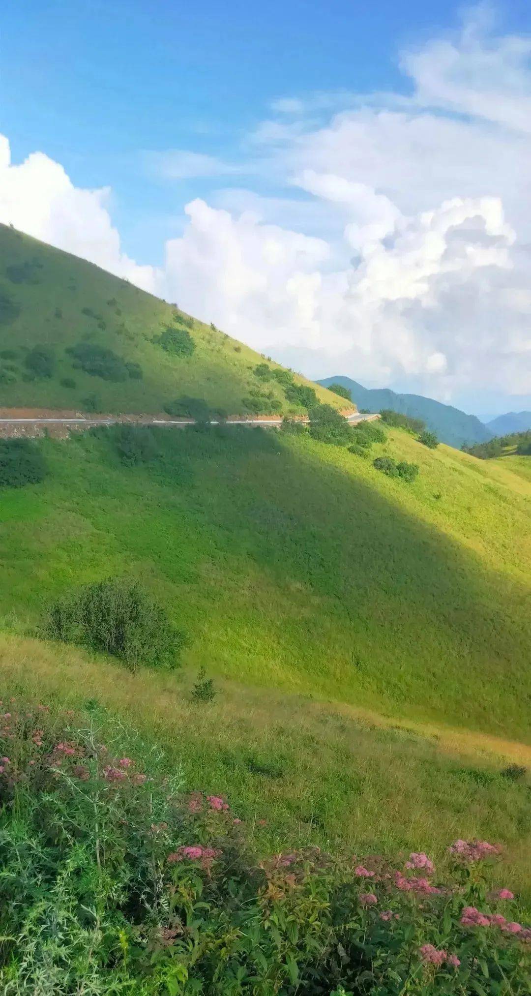 山外有山,山外有山陈佩斯完整版