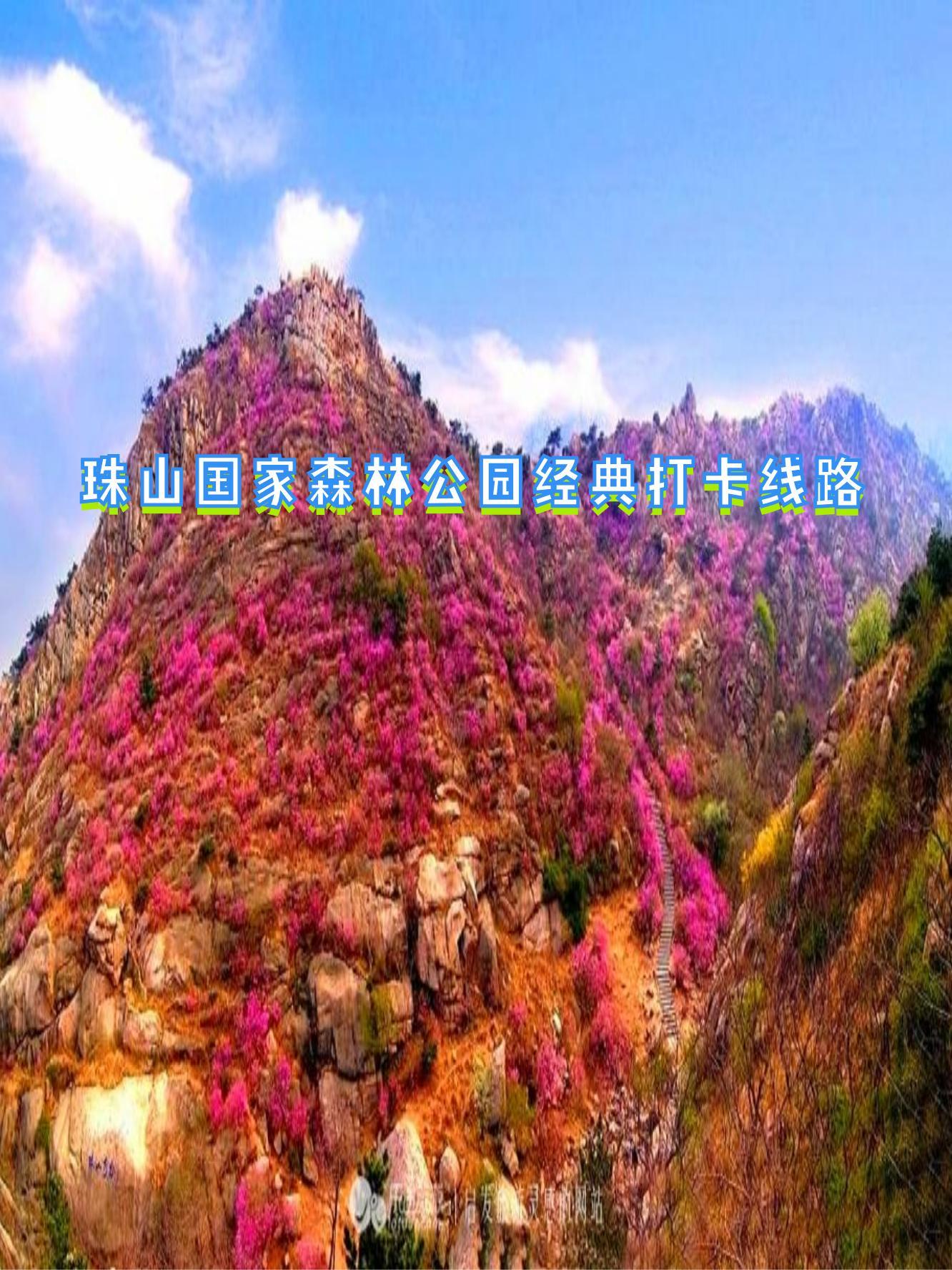 珠山国家森林公园,珠山公园在哪里?