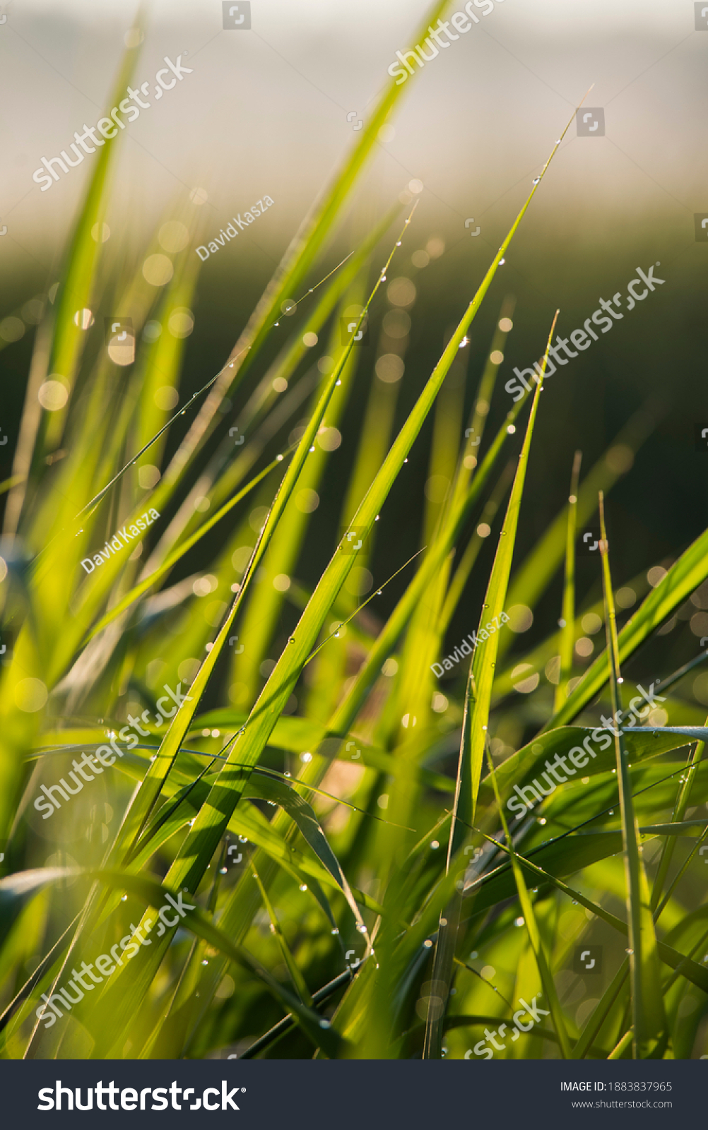groundwater,greenhousegase