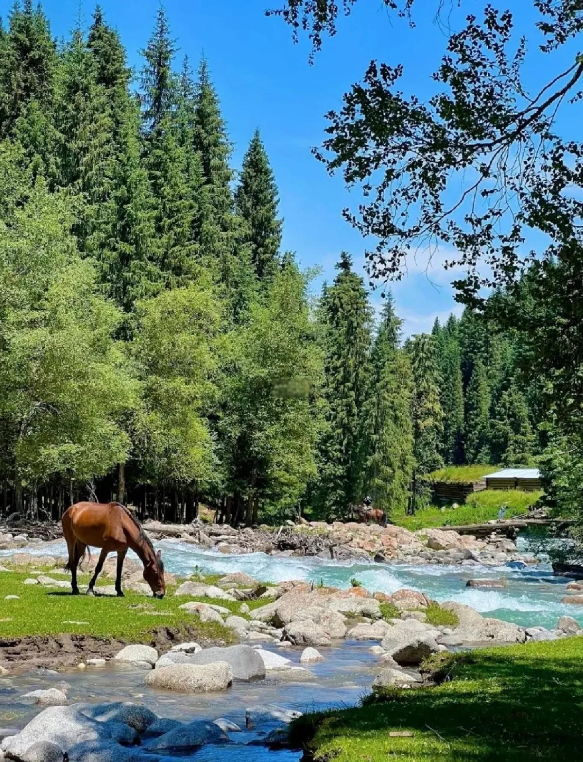 新疆的旅游景点,新疆旅游必去的景点
