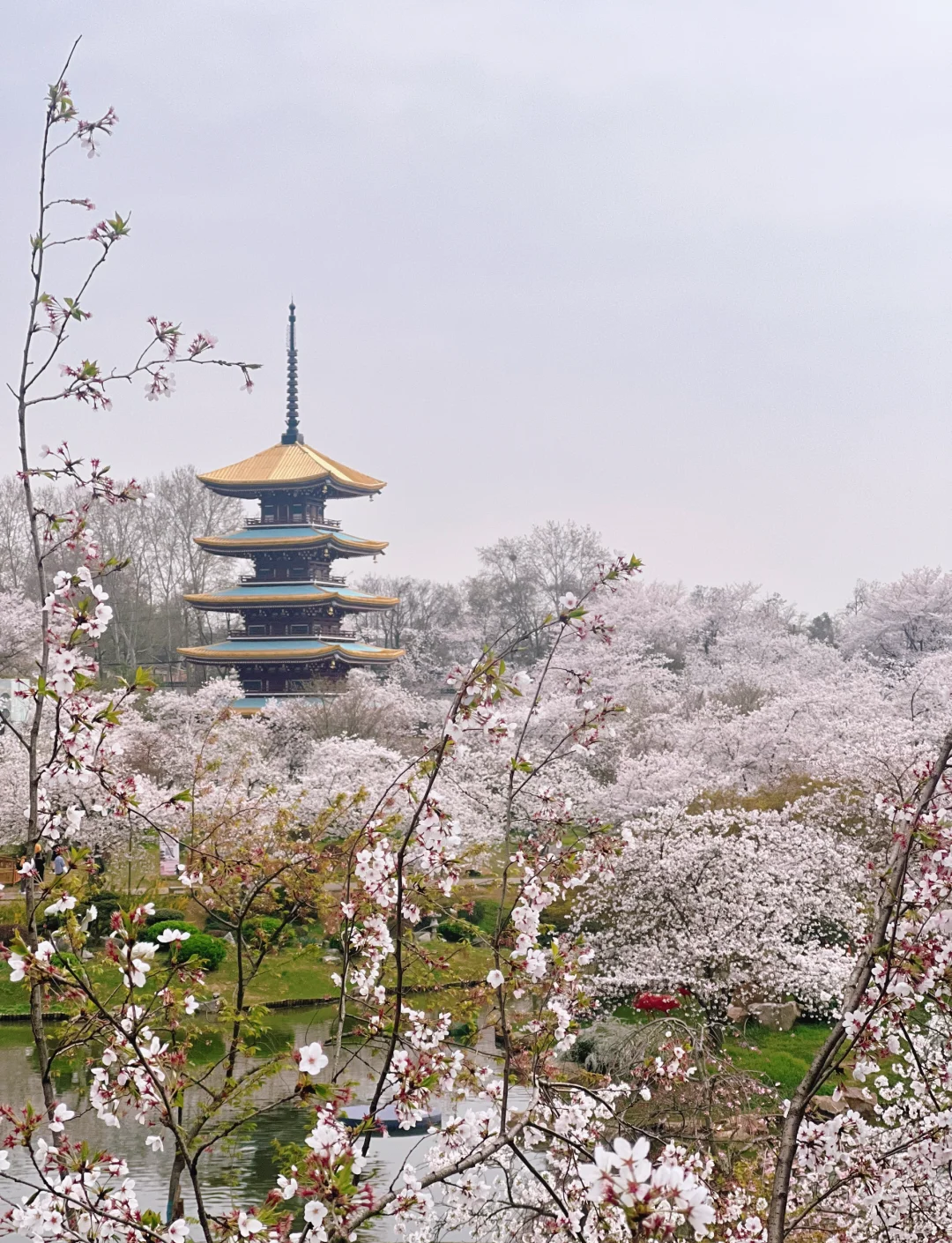 武汉旅游景点大全,湖北旅游必去十大景点推荐