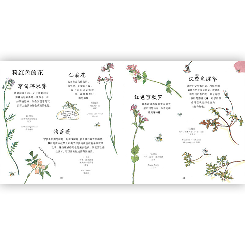 植物百科全书下载,植物百科知识全书