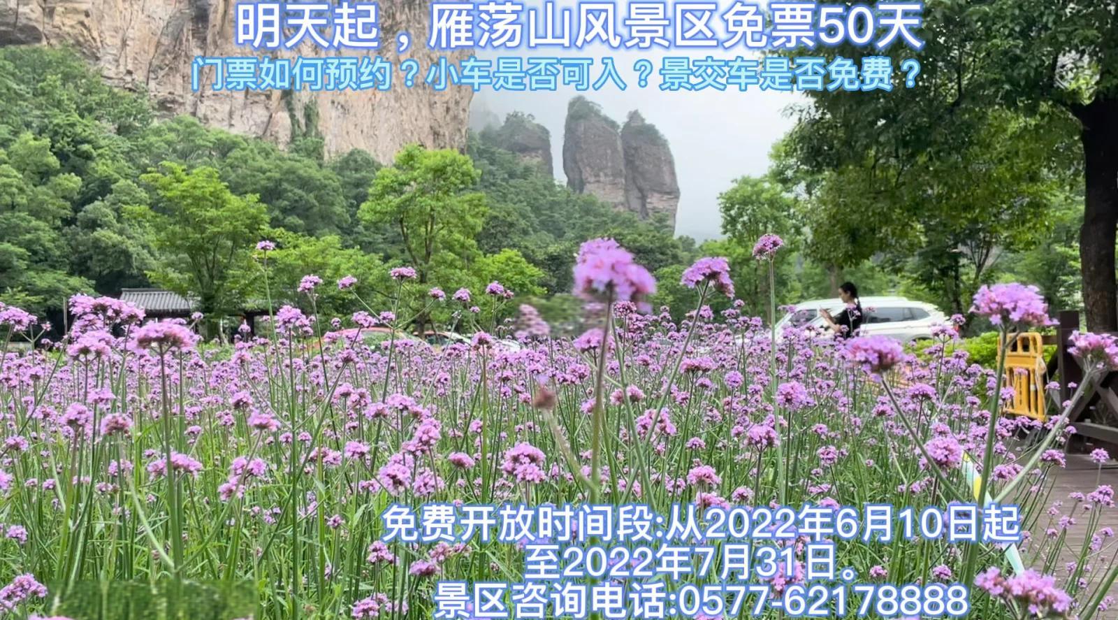 河南旅游景点免费开放2022怎么预约,河南省旅游景点免门票怎么预约