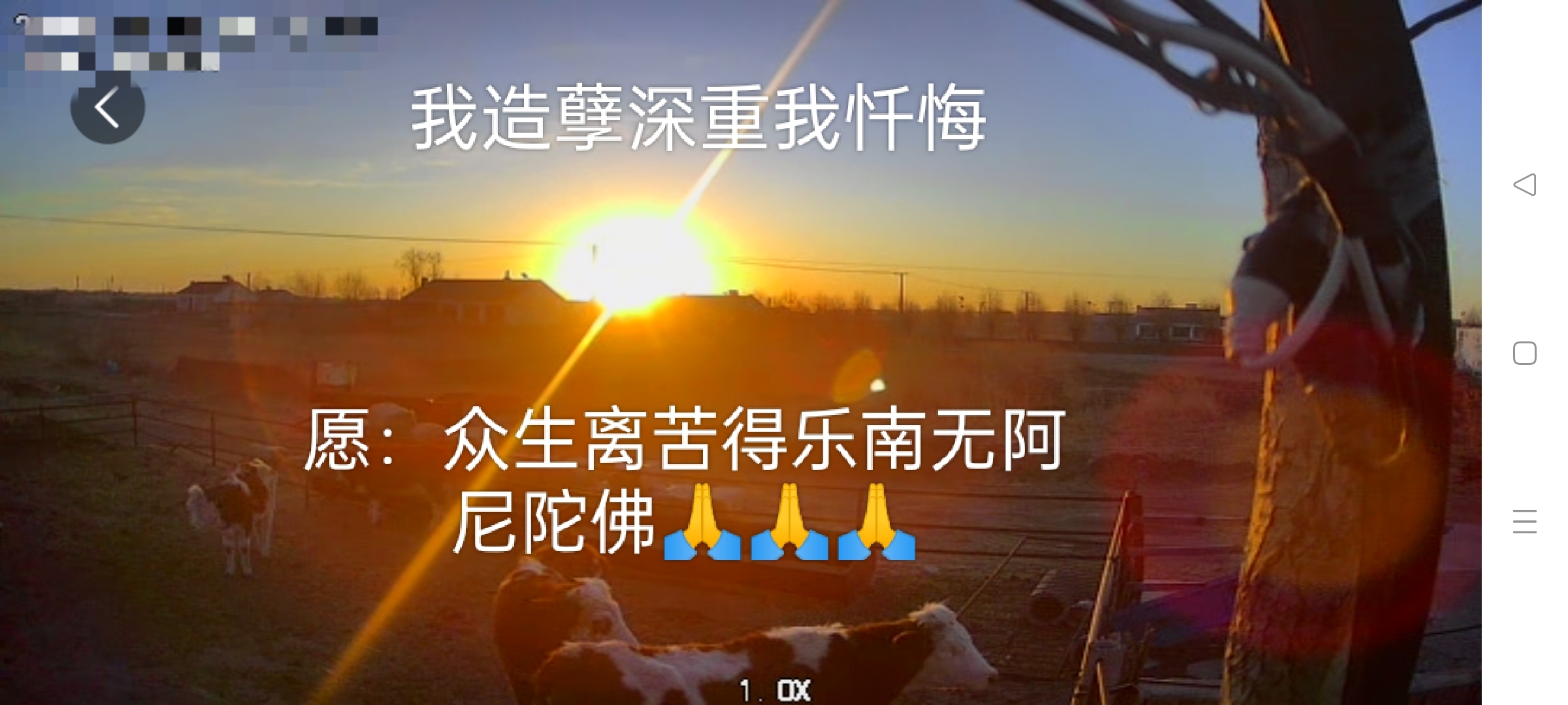 苦行赎罪什么意思,苦行赎罪什么意思什么动物