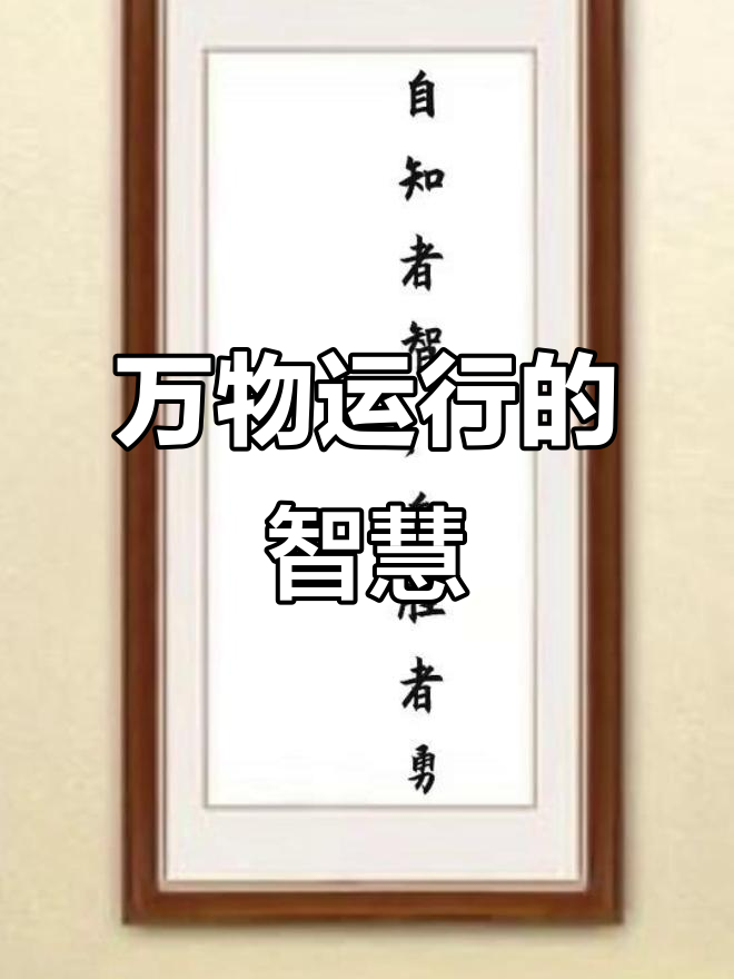 世间万物,世间万物皆有因果