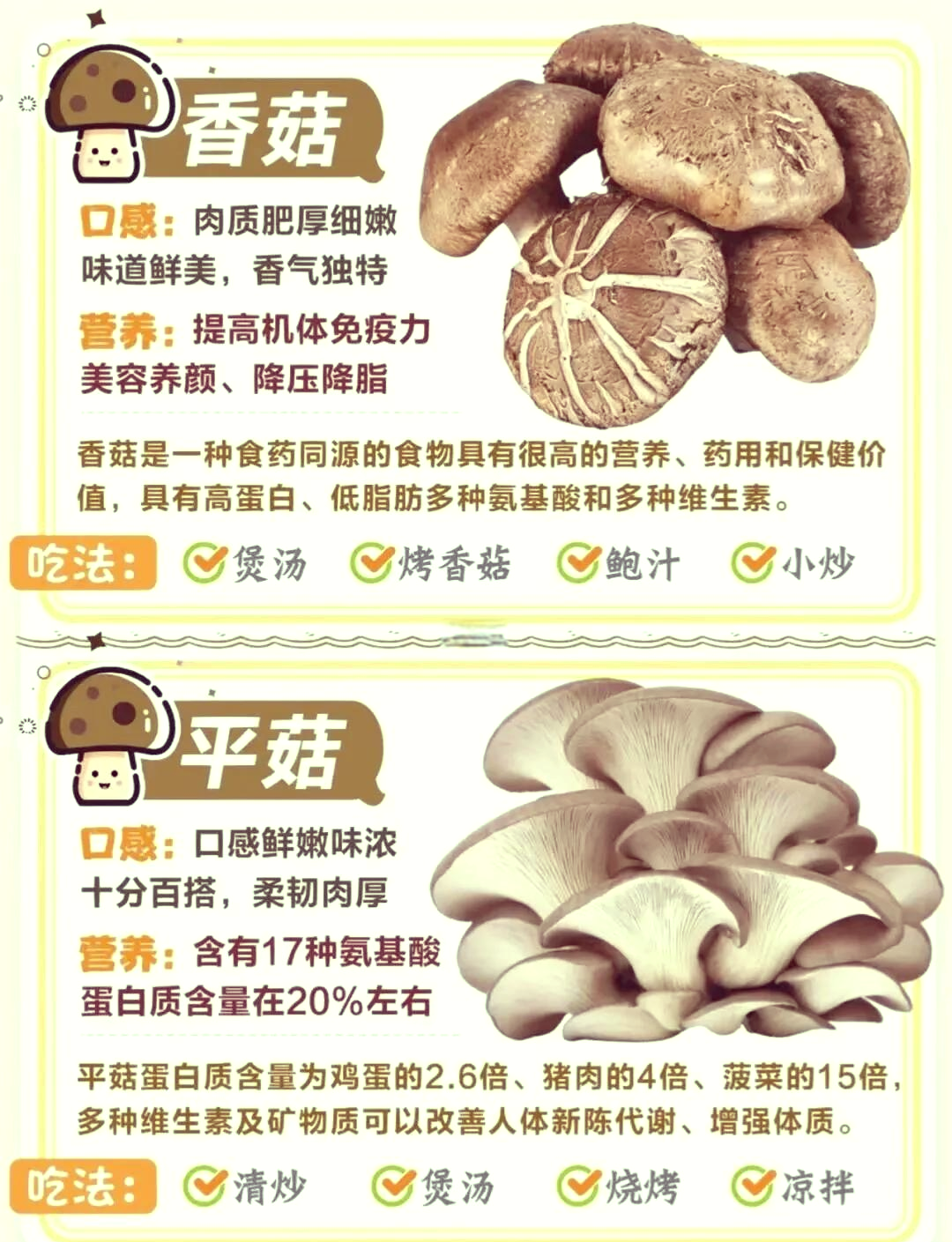 菌的拼音,菌蒲的拼音