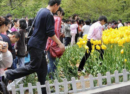 旅游不文明行为,旅游不文明行为记录保存期限