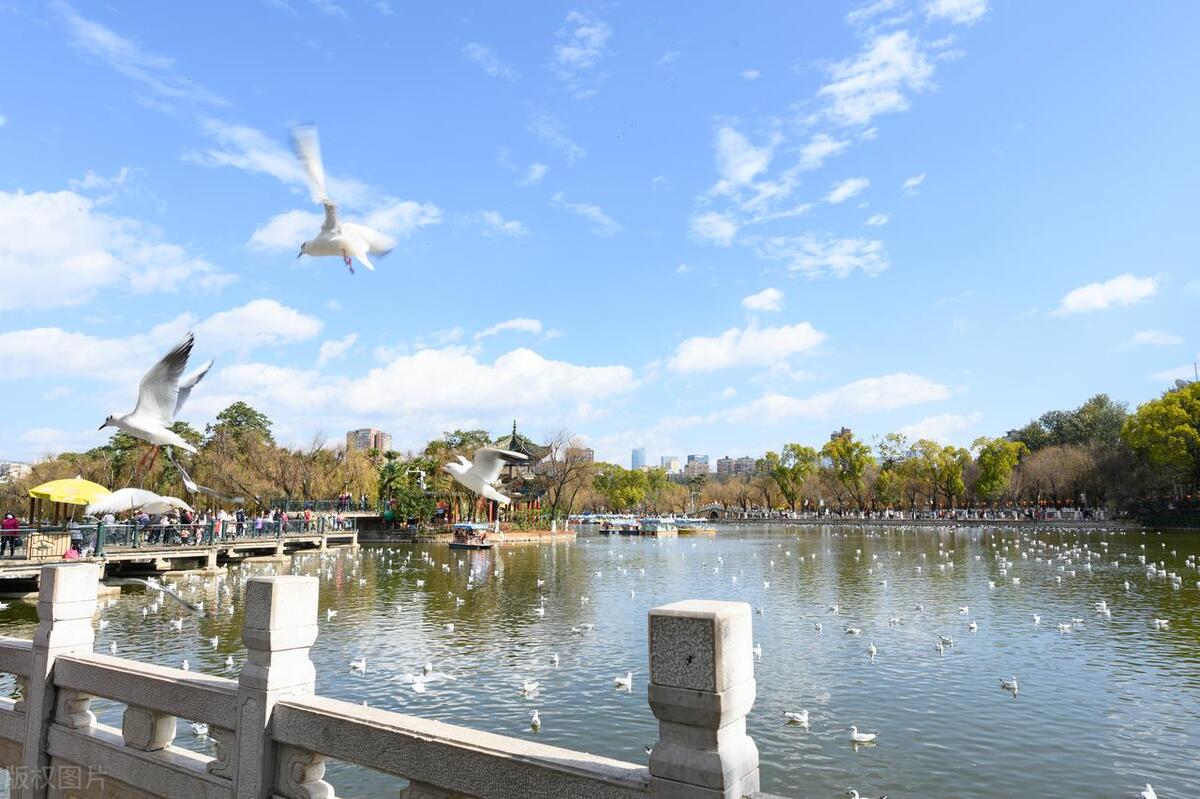 昆明旅游景点,昆明旅游必去十大景点