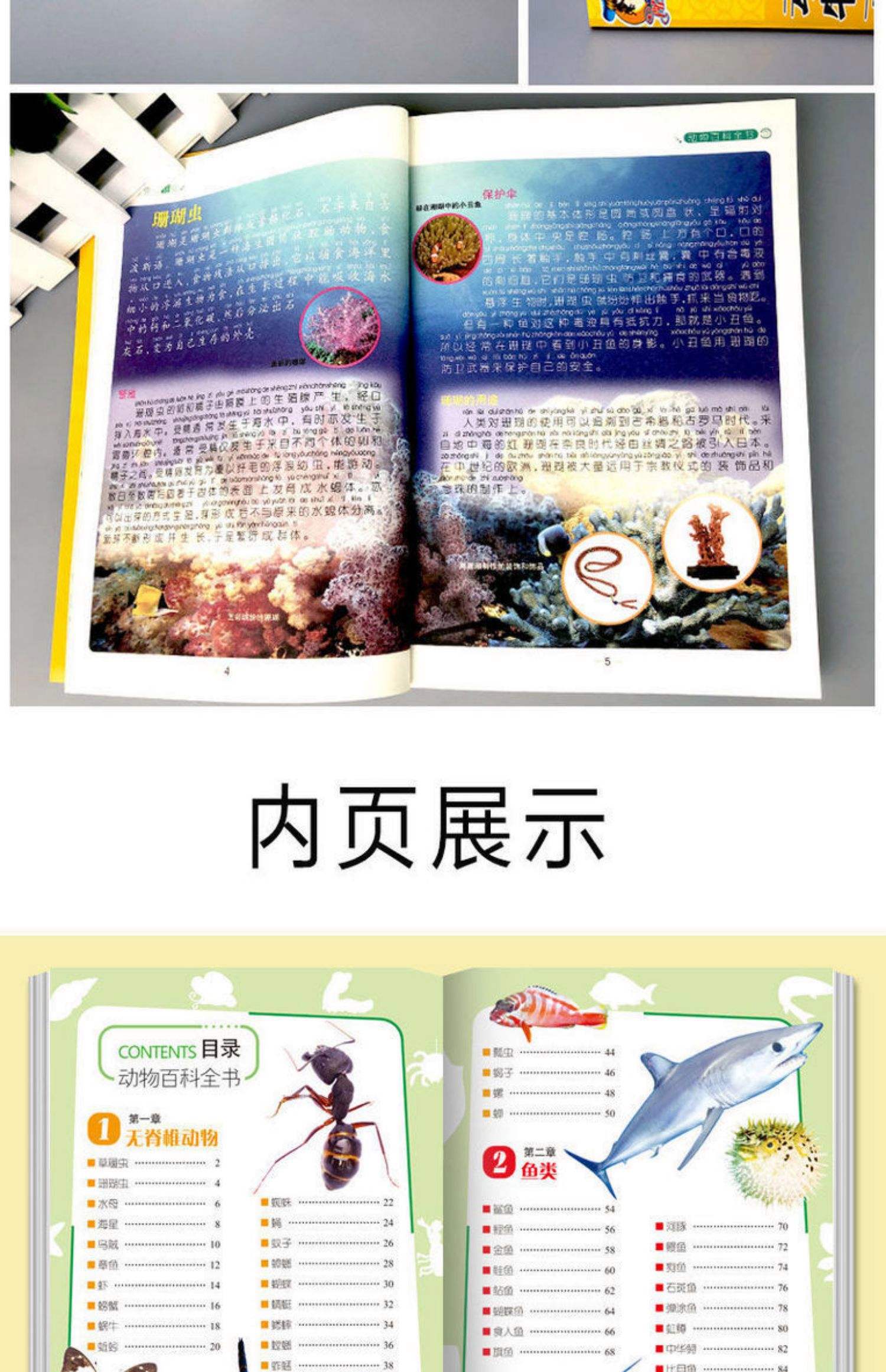 儿童趣味百科全书目录,趣味百科3