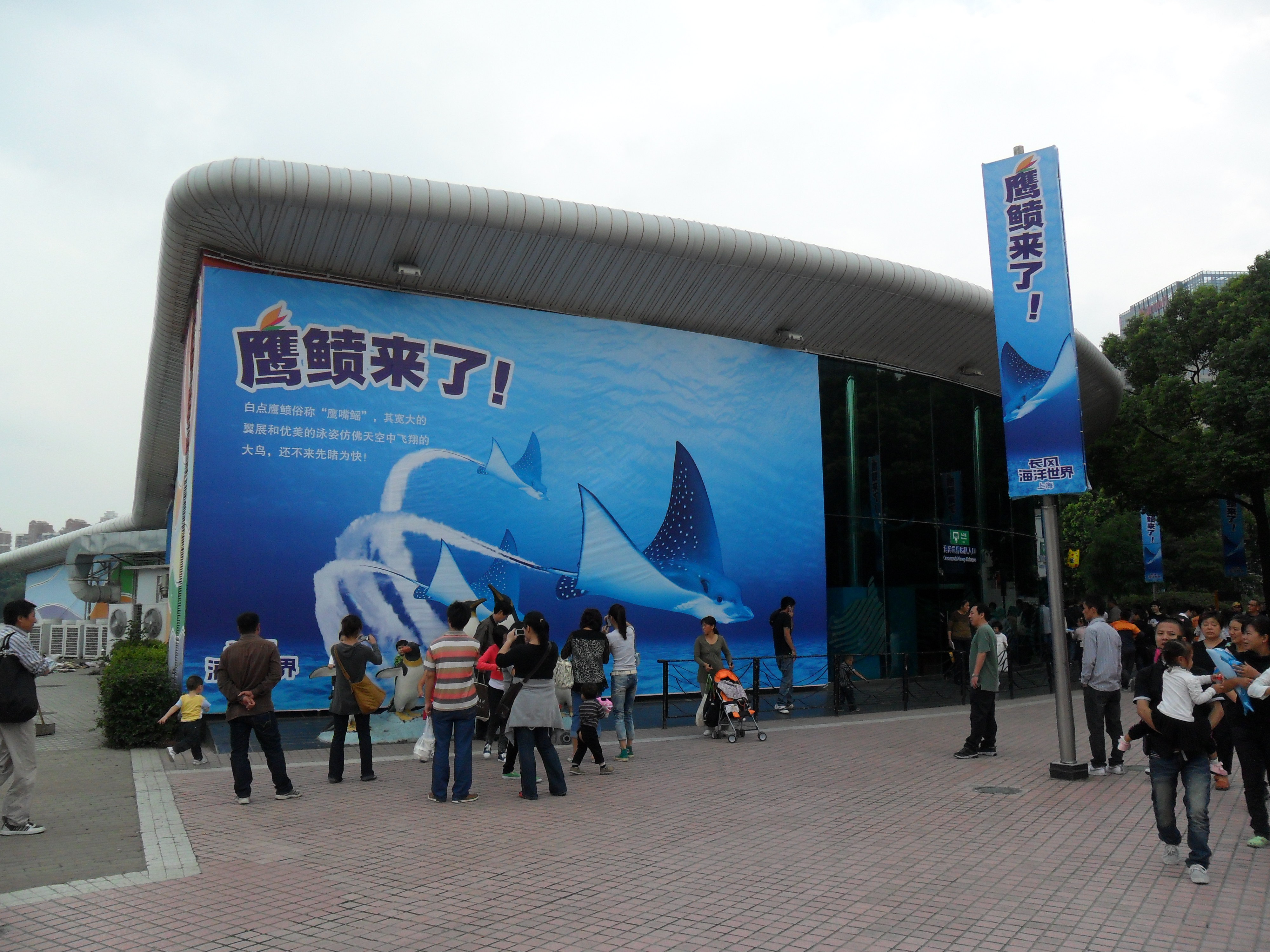 上海长风公园门票,上海长风公园游玩攻略