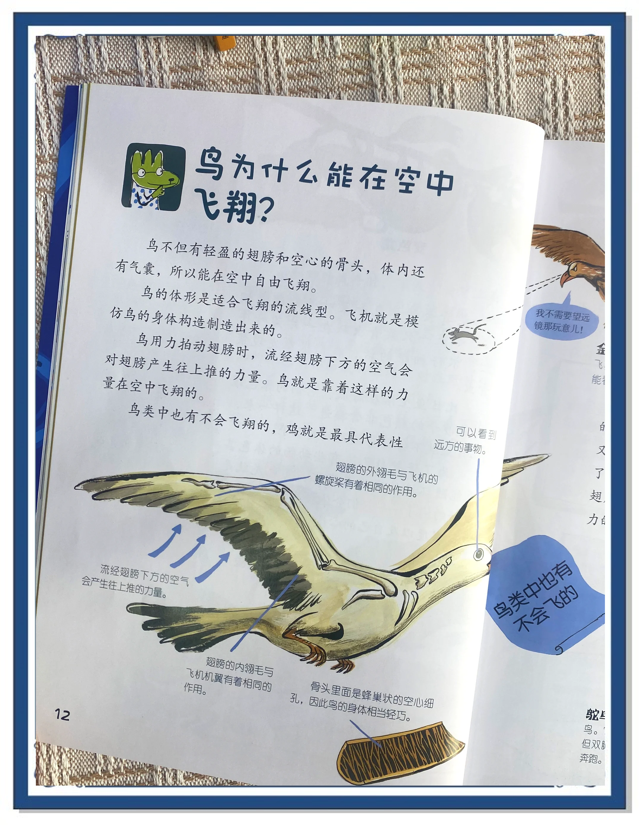 小学生科普类书籍推荐书目,小学生科普书籍排行榜前十名