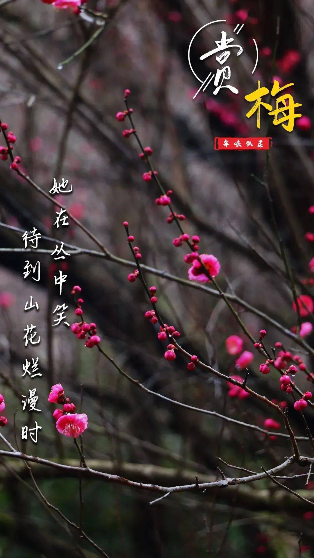宁折不弯是什么意思,宁折不弯形容什么样的人
