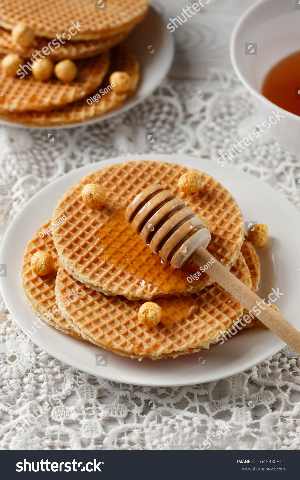 vanilla,vanilla是什么颜色