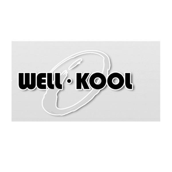 well,well英语怎么读