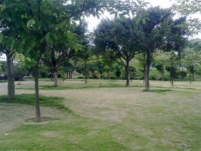 石马桃花公园,石马桃花公园图片