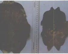 陆参状珑是什么意思,陆x参=多少
