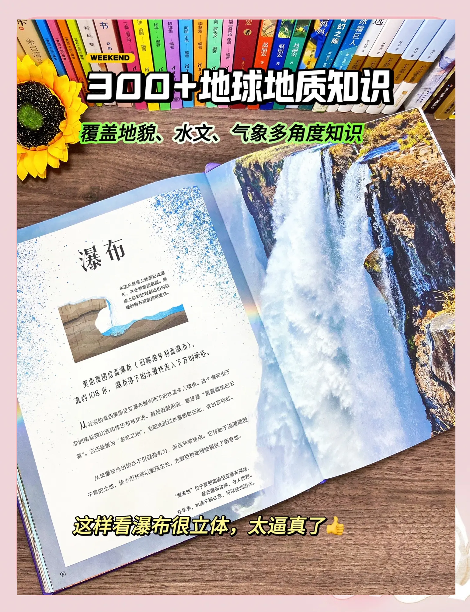 知识大全内容全书,知识大全1