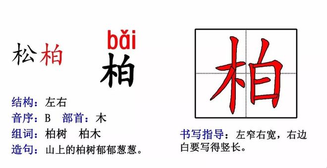 柏的组词,季的组词