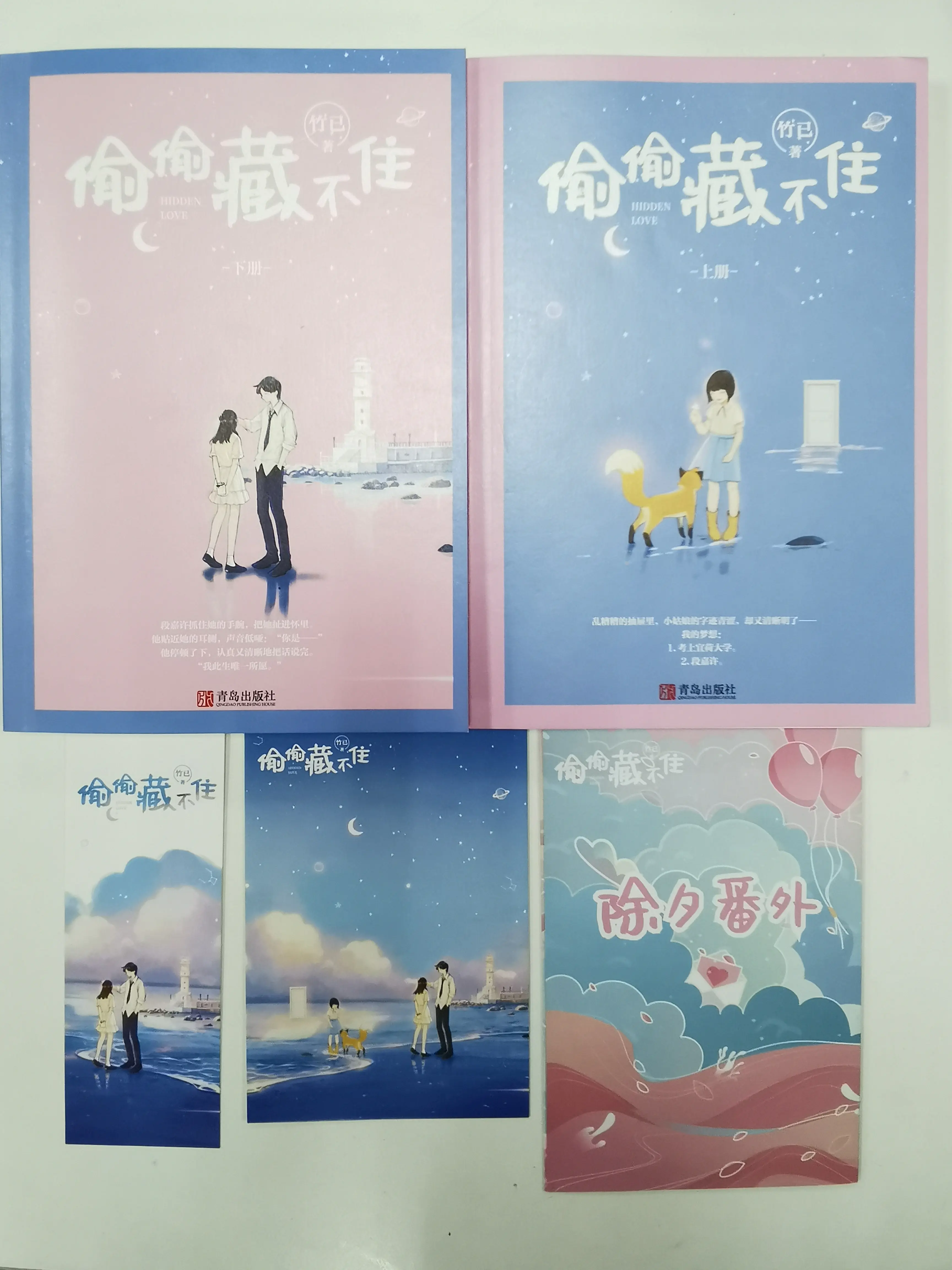 适合一个人偷偷看的书,适合一个人偷偷看的书言情