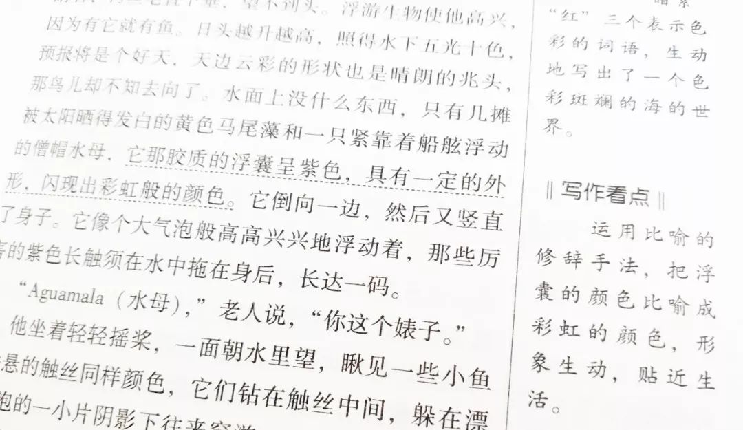 想看点带颜色的书,想看点带颜色的书怎么办