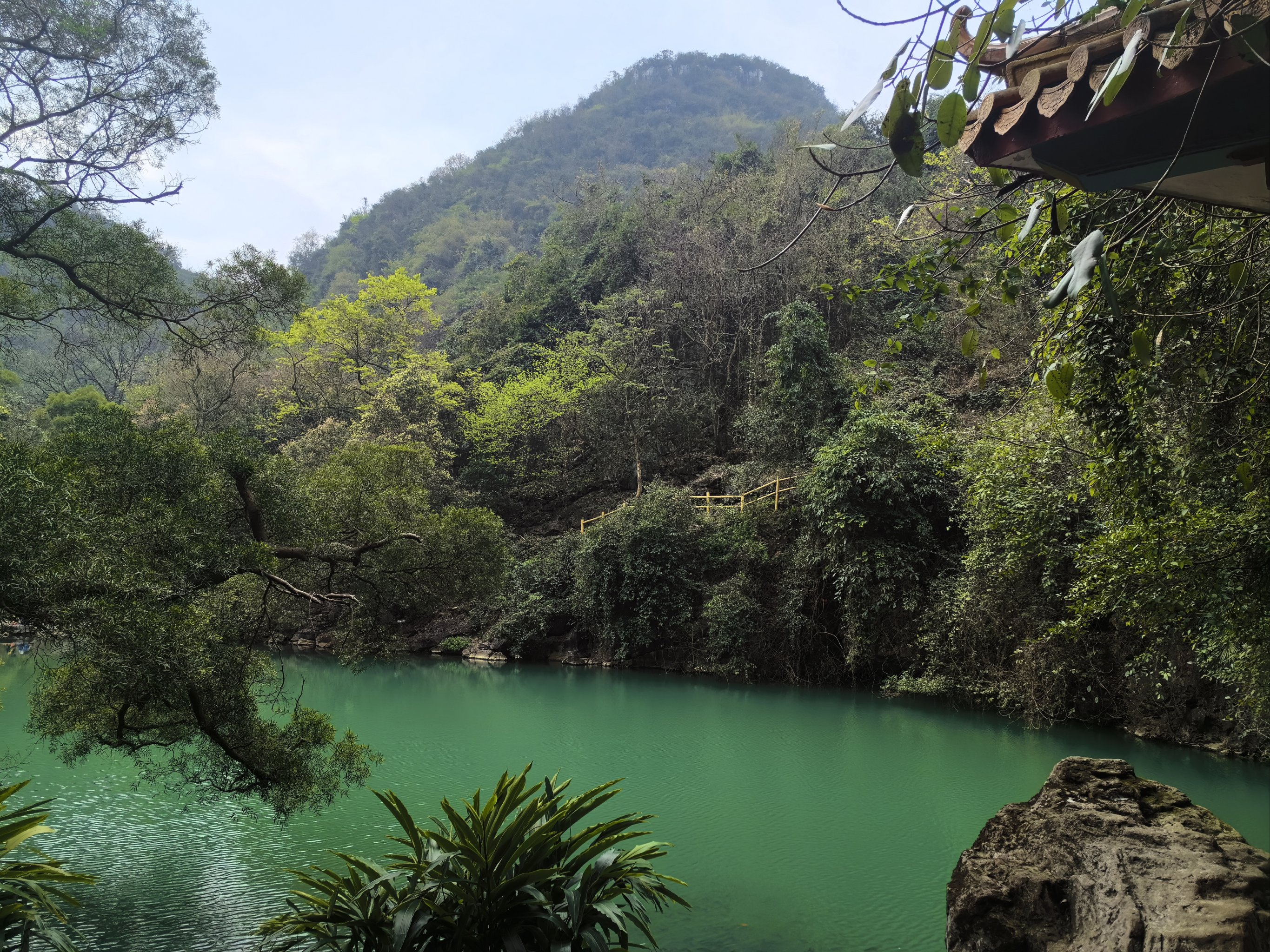 龙潭公园,龙潭公园景点简介