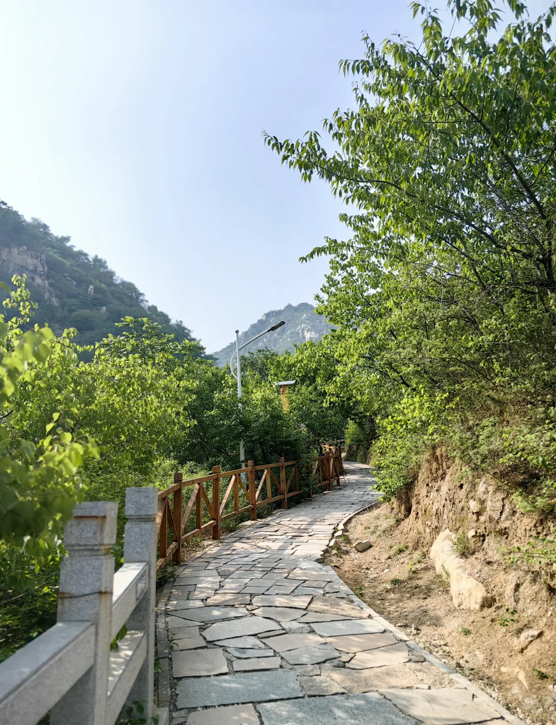 大岭沟猕猴桃谷风景区,大岭沟风景区怎么样