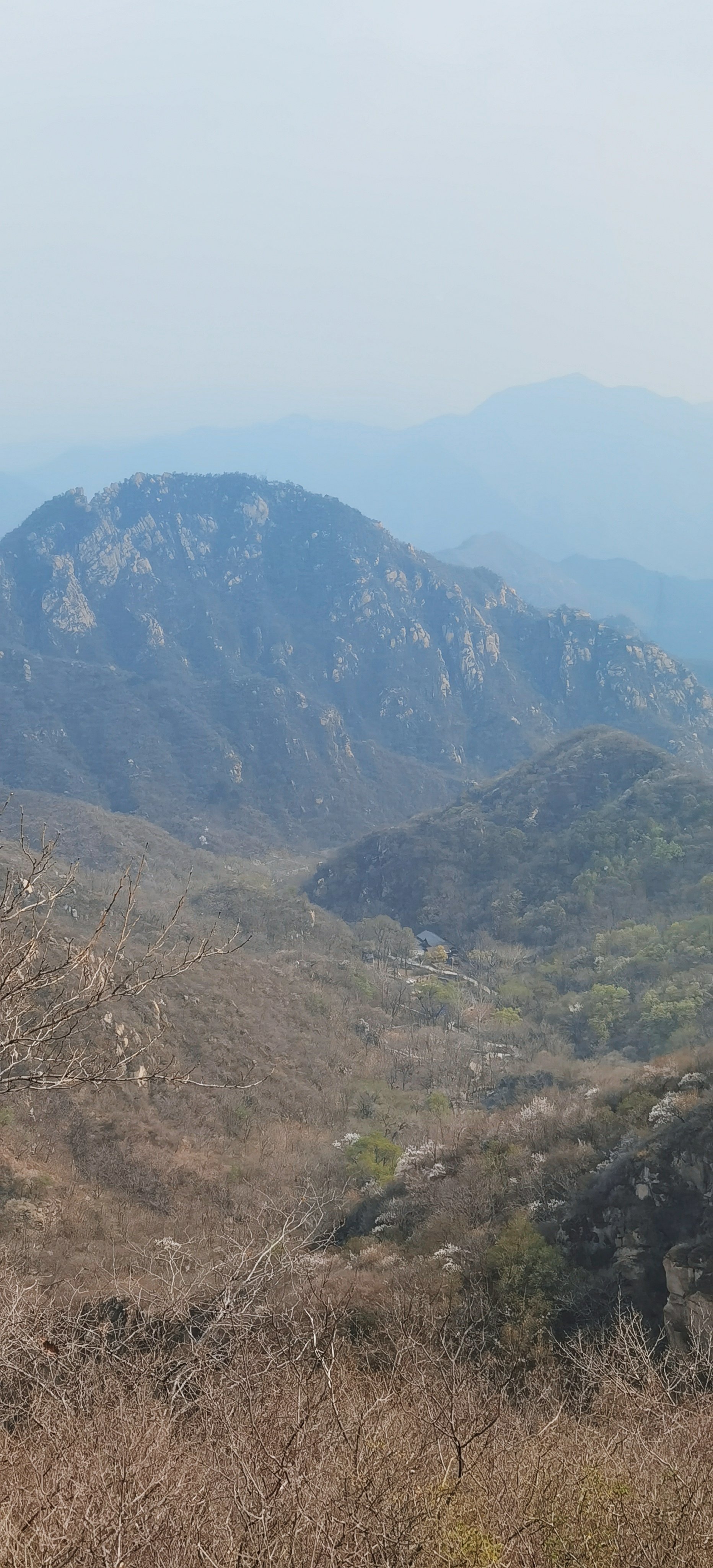 大岭沟猕猴桃谷风景区,大岭沟风景区怎么样