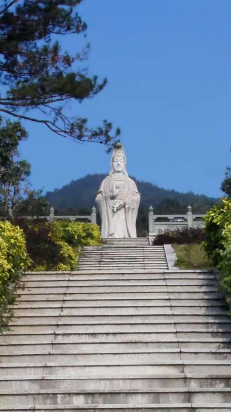 潮州红山森林公园,红山动物园观光车价格
